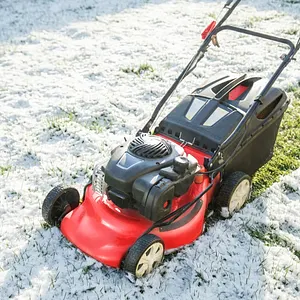 All Seasons True Value/just Ask Rental