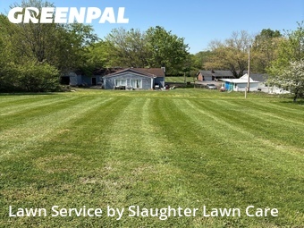 Lawn Maintenance nearby Knoxville, TN, 