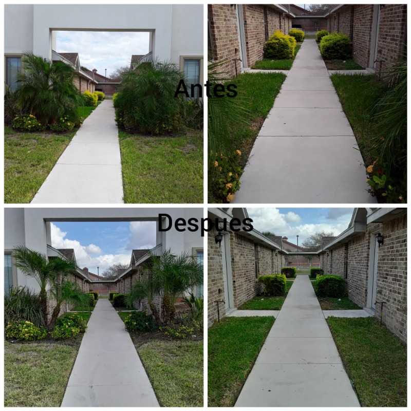 Lawn Care Service in Mission, TX, 78574