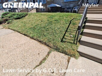 Grass Cutting nearby Philadelphia, PA, 