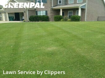 Grass Cut nearby Lebanon, TN, 