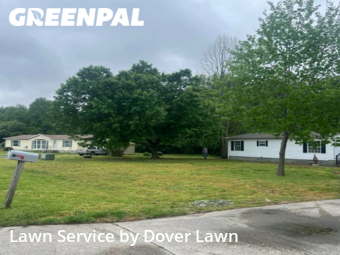 Yard Cutting nearby Harrington, DE, 