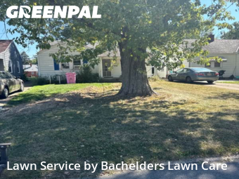 Lawn Servicein Mansfield,44903,Yard Cutting by Bachelders Lawn Care, work completed in Nov , 2025