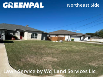 Lawn Maintenance in Selma, 78154, Yard Services by Wcj Land Services Llc, work completed in Dec , 2025