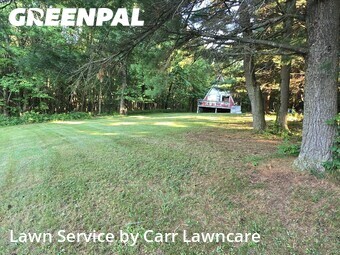 Yard Cutting nearby Honeoye, NY, 