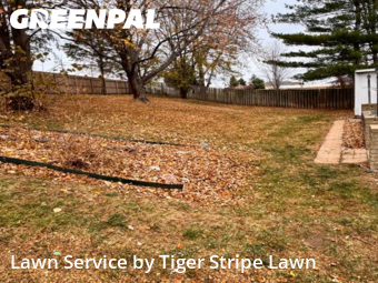 Lawn Mow nearby Papillion, NE, 