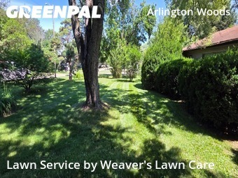 Yard Cutting nearby Indianapolis, IN, 