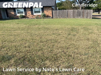 Lawn Cut nearby Fort Worth, TX, 