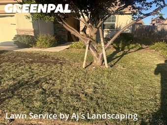Lawn Mow nearby Livingston, CA, 