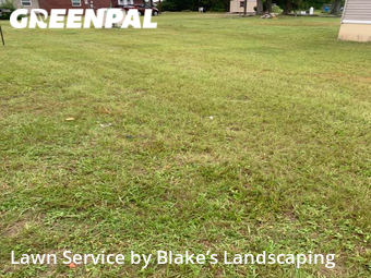 Lawn Mow nearby Panama City, FL, 