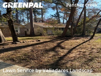 Lawn Cutin Spring,77381,Lawn Care by Valladares Landscap, work completed in Feb , 2026