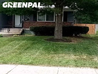 Grass Cut nearby Columbus, OH, 