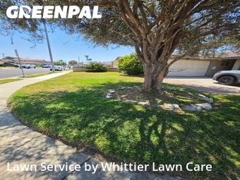Lawn mowing work completed in Downey, CA