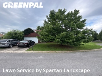 Grass Cutting nearby Murfreesboro, TN, 