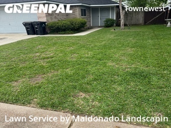 Lawn Cut nearby Sugar Land, TX, 