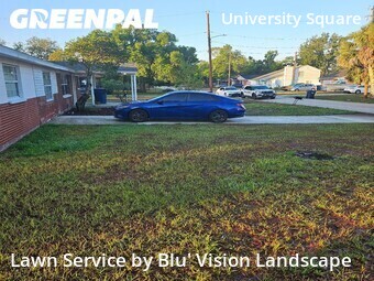 Grass Cutting nearby Tampa, FL, 