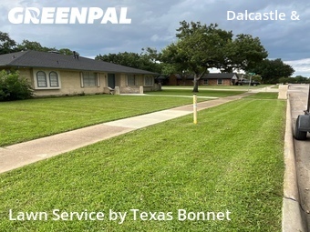 Lawn Cut nearby Garland, TX, 