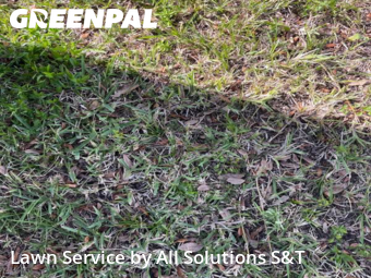 Lawn Mowing Service nearby Poinciana, FL, 