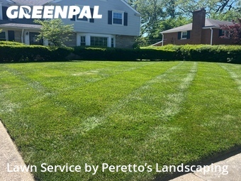 Lawn Cut nearby Shaker Heights, OH, 