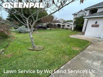 Lawn Care Servicein New Braunfels,78130,Grass Cut by Wcj Land Services Llc, work completed in Dec , 2025
