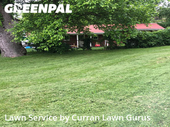 Yard Cutting nearby St. Louis, IL, 