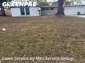 Lawn Mow nearby Tampa, FL, 