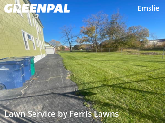 Landscaping Cleanup In Buffalo,14206,Landscaping Renovation by Ferris Lawns, work completed in Oct , 2025