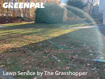 Mowing Services in Colchester, 6415, Lawn Upkeep by The Grasshopper, work completed in Dec , 2025