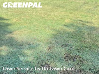 Grass Cutin Moore,73160,Lawn Mow by Db Lawn Care, work completed in Dec , 2025