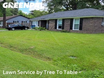 Lawn Care Service nearby Ladson, SC, 