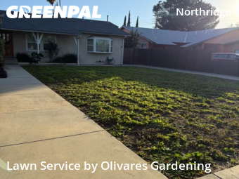 reliable-lawn-care-service-in-Venice-CA