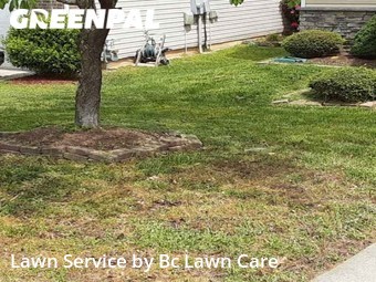 Lawn Maintenance nearby Raleigh, NC, 