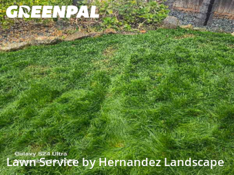 Grass Cut nearby Murrieta, CA, 