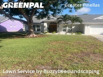 Lawn Care Service nearby St. Petersburg, FL, 