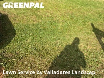 Lawn Cutting nearby Willis, TX, 