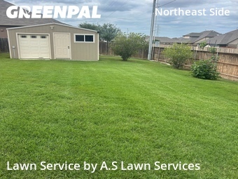 Lawn Cut nearby Schertz, TX, 