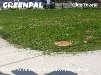 Lawn Mowing nearby Columbus, OH, 