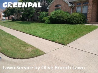 Lawn Cuttingin Haltom City,76137,Lawn Maintenance by Olive Branch Lawn, work completed in Jun , 2026