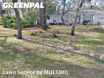 Lawn mowed in Temple Terrace, 33617