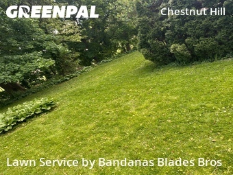 Lawn Mowing nearby Philadelphia, PA, 