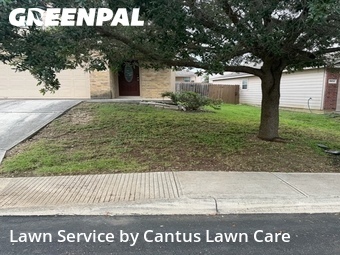 Lawn Mow nearby San Antonio, TX, 