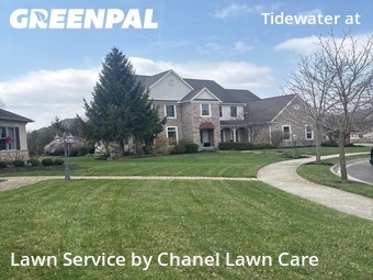 Grass Cutting nearby New Albany, OH, 