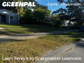 Grass Cut nearby Tampa, FL, 