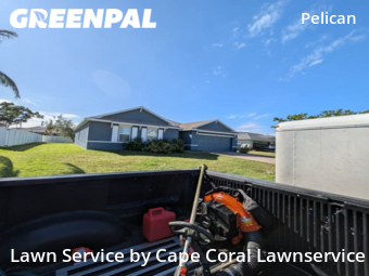 Yard Cutting nearby Cape Coral, FL, 
