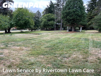 Lawn Mow nearby Pittsburgh, PA, 