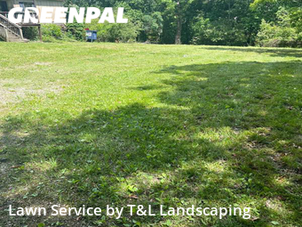 Grass Cut nearby Lynchburg, VA, 