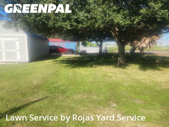 Lawn Care Service nearby Harlingen, TX, 