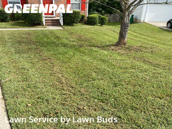 Lawn Mowing Service nearby Charlotte, NC, 