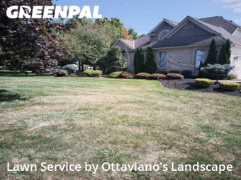 Grass Cutting nearby Marion, OH, 