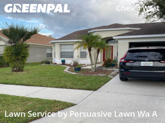 Lawn Mowing nearby Lutz, FL, 